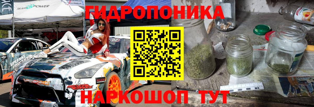 Бошки Шишки гибрид Дербент